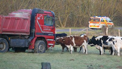 PKW gegen LKW bei Elbenberg