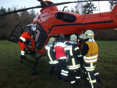 Baum stürzt auf Waldarbeiter und stirbt an den Verletzungen
