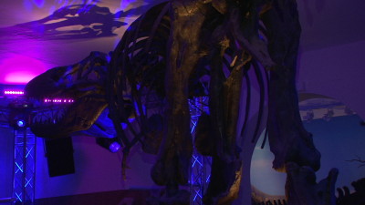 Rock den Rex im Naturkundemuseum Kassel