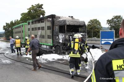 Zugmaschine vom Schweinetransporter ausgebrannt