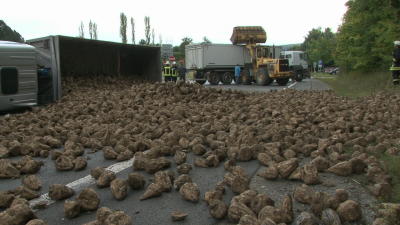 LKW mit Zuckerrüben kippt auf die B 252 um
