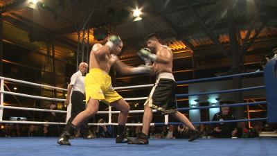 Boxkampf im Autohaus HessenKassel