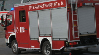 Hund bei Wohnungsbrand getötet