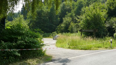 Mord? – Spaziergänger findet leblose Person im Wald