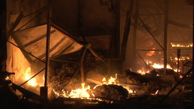 Großbrand in Kassel Waldau – Feuerwehrmann leicht verletzt