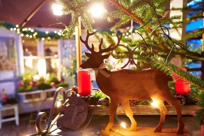 Vorweihnachtliches Ereignis im Hause des Grafen