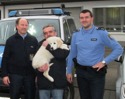 Unfall mit „Happy End“ – Hundewelpe wieder zuhause