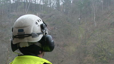 Rettung der Pfingstnelke am Edersee