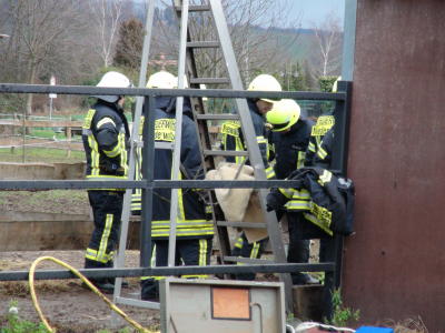 Dramatische Tierrettung in Niederwalluf