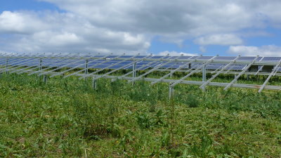 Wolfhagen: 120 Module aus Solarpark geklaut
