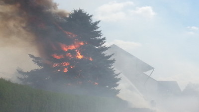 Unkrautvernichtung mit Gasbrenner ? – Heckenbrand wird zum Großeinsatz