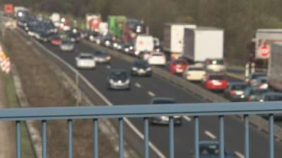 A5: Katze bei Autofahrt aus Fenster geworfen – Unverletzt gefunden