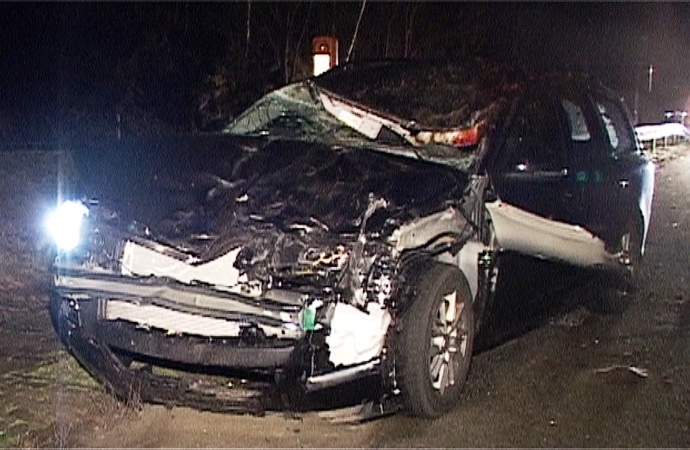 Pferd kommt nach Unfall auf A7 ums Leben