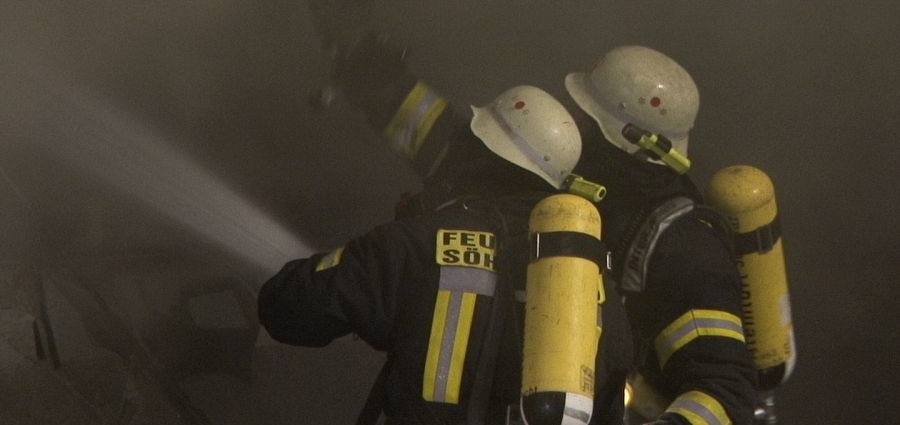 13 Hunde kommen bei Wohnungsbrand ums Leben