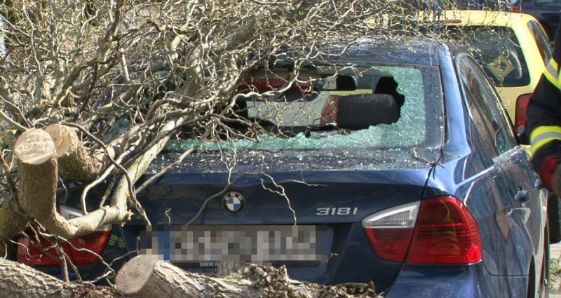 Unwetter: Sturmtief „Niklas” über Kassel