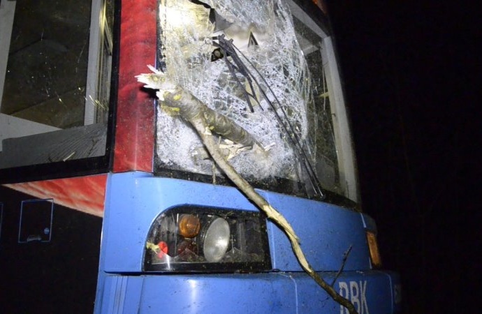 Tram-Unfall durch umgestürzten Baum