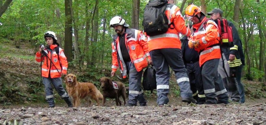 Rettungshunde-Casting: Helfer auf vier Pfoten gesucht