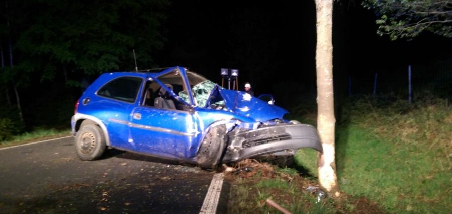 Autofahrer stirbt nach Unfall auf Landstraße