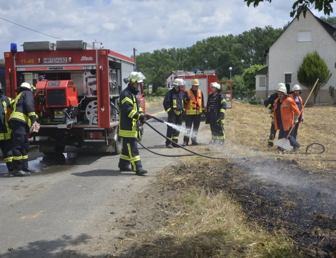 Stoppelfeld-Brand bei Trockenerfurth