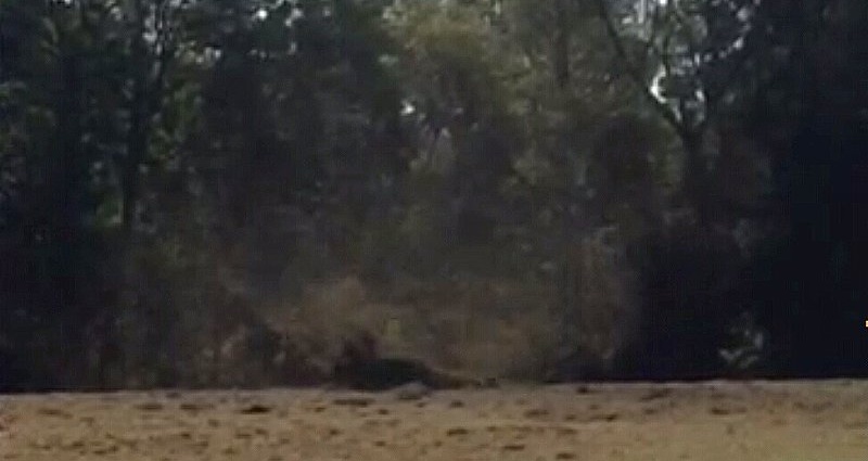 Dust Devil – Seltenes Naturschauspiel bei Niederurff