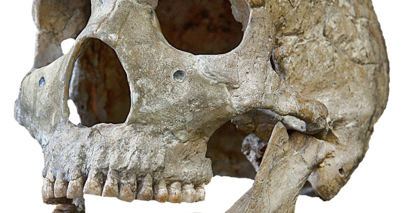 Weltweit einzigartige Ausstellung in Südhessen