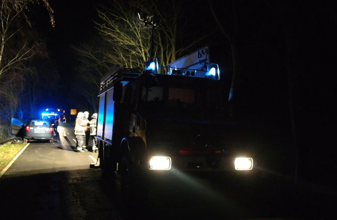 Mercedes gegen Baum – Zwei Verletzte