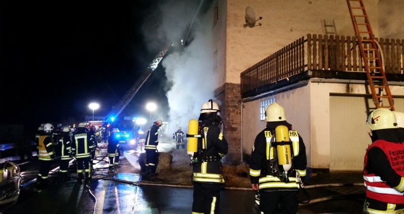Helmarshausen: Pferde vor Flammen gerettet