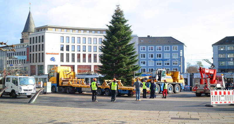 KS: 3400 Meter Lichterkette – Weihnachtsbaum auf dem Königsplatz ist fertig