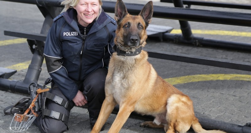 Rocky: Vierbeiner in luftiger Mission