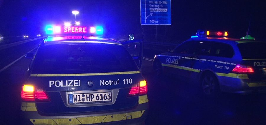 A44: Kleintransporter fährt in Wildschweinrotte