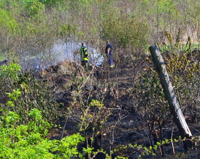 60.000 Quadratmeter – Waldbrand bei Fernwald