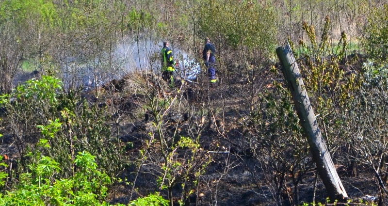 60.000 Quadratmeter – Waldbrand bei Fernwald
