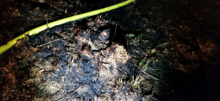 Rund 3000m² Waldboden in Brand geraten – Feuerwehr im Großeinsatz