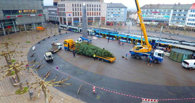Der Kasseler Weihnachtsbaum – Vom Garten bis zum Weihnachtsmarkt