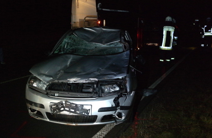 Pferd musste nach Unfall eingeschläfert werden