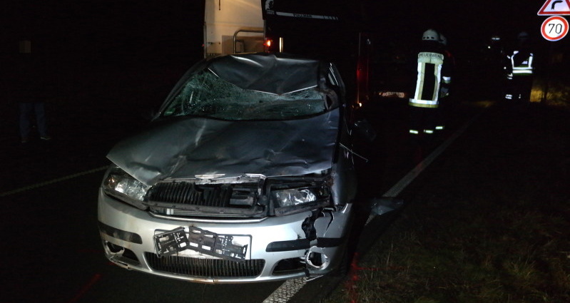 Pferd musste nach Unfall eingeschläfert werden