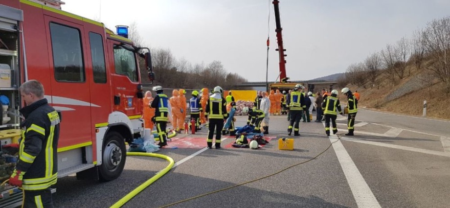 Schwerer Unfall auf der A38 – 600 Ferkel getötet