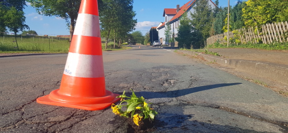 WOH: Schlaglöcher mit Stiefmütterchen bepflanzt