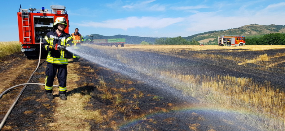 Rund 1.000 Quadratmeter Feld brannte bei Habichtswald
