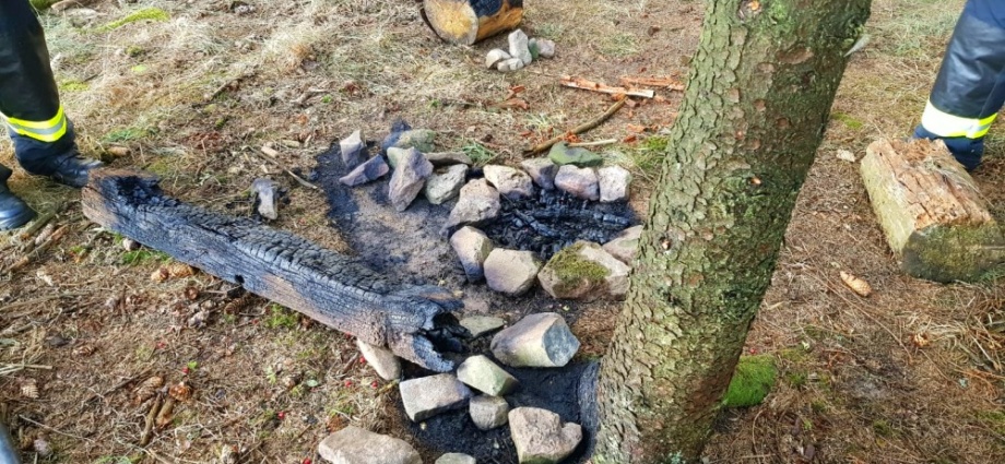 Fahrlässigkeit: Lagerfeuer im Wald löst Feuerwehreinsatz aus – Polizei ermittelt