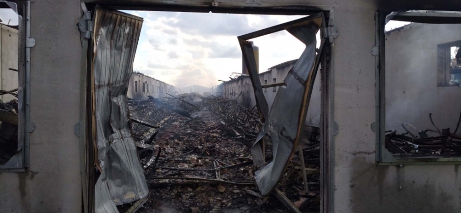 Mittelhessen: 5.000 Hühner kommen bei Brand ums Leben