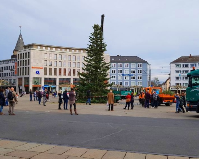 Königsplatz: Ein Weihnachtsbaum für Kassel (Video)
