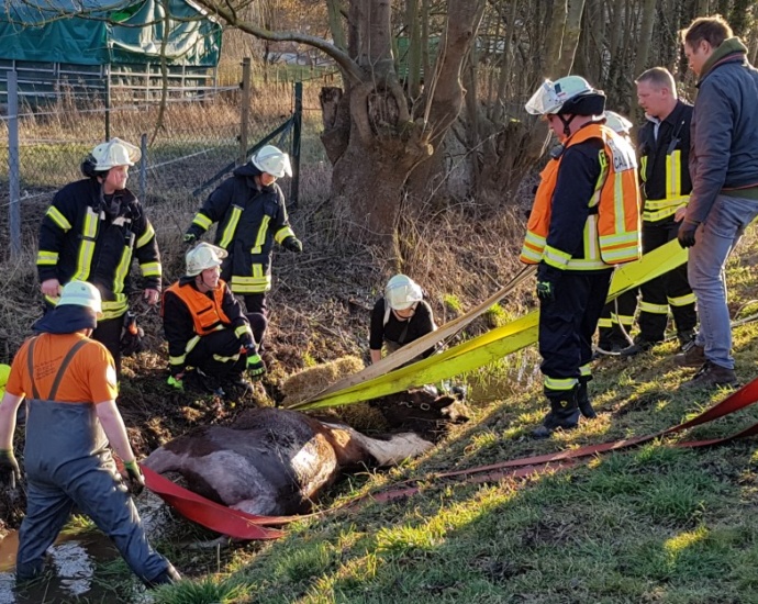 Feuerwehr rettet Pferd aus Flutgraben in Ehrsten (Video)