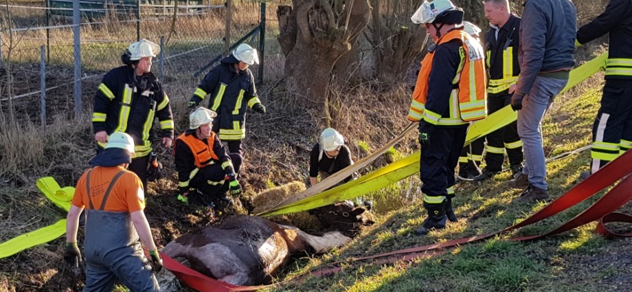 Feuerwehr rettet Pferd aus Flutgraben in Ehrsten (Video)