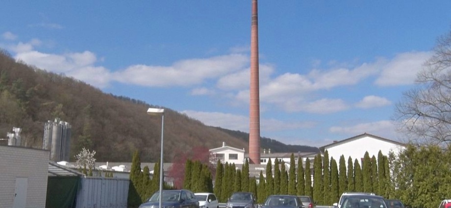Storchenpaar will hoch hinaus