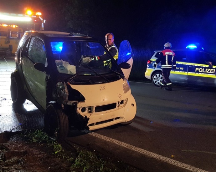 Reh auf B252 – Fahrer nach Auffahrunfall schwer verletzt