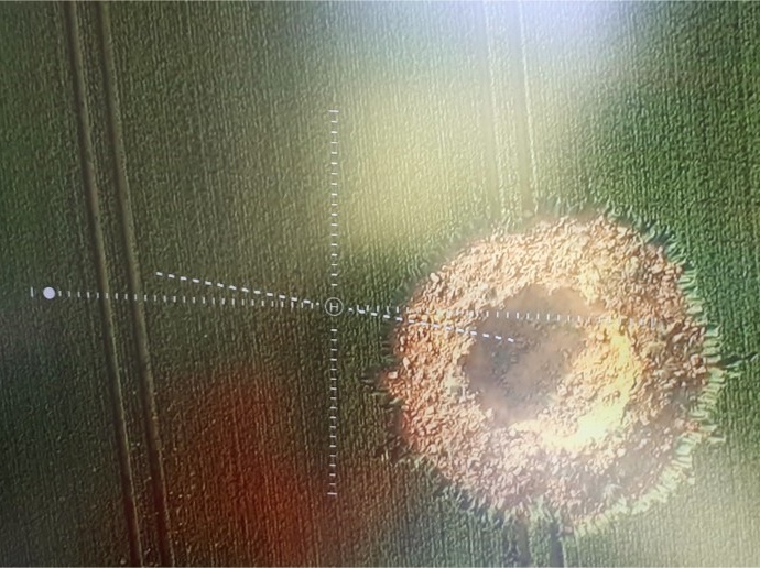 Westhessen: Krater im Feld entdeckt – Weltkriegsbombe explodiert?