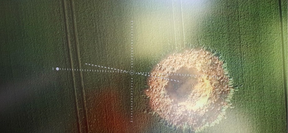 Westhessen: Krater im Feld entdeckt – Weltkriegsbombe explodiert?