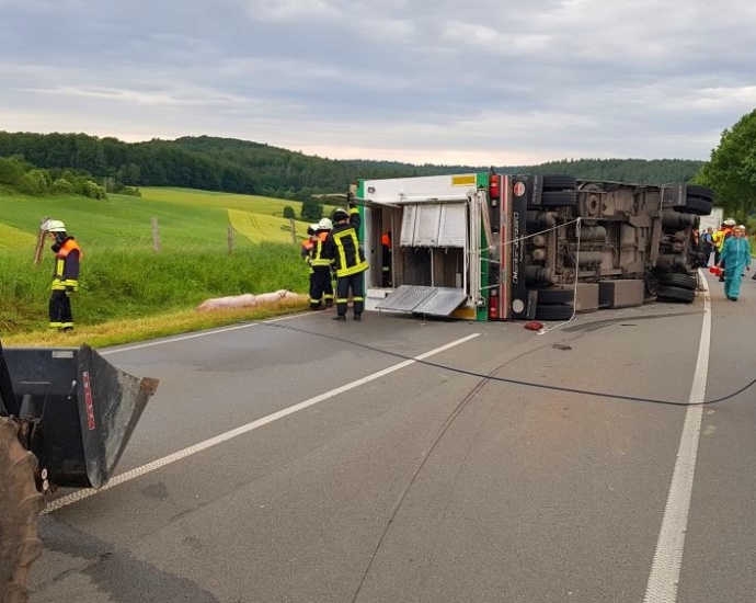 Schweinetransporter auf B252 verunglückt – 14 Tiere verendet