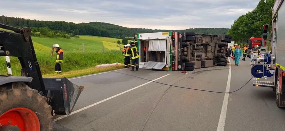 Schweinetransporter auf B252 verunglückt – 14 Tiere verendet